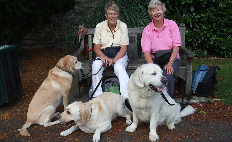 Barking Mad regulars Jenny Baxter with Angela Rogers and their dogs Sandy Bobby and Harvey 2 1