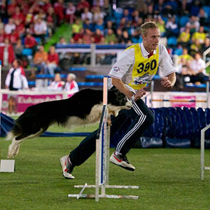 Lee Gibson & Scott at fciworlds